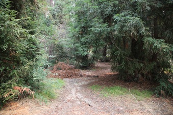 Enlarge photo 44