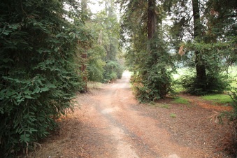 Enlarge photo 45