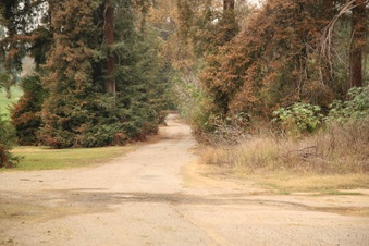 Enlarge photo 47