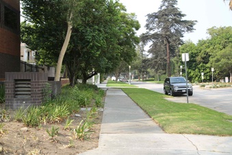Enlarge photo 19