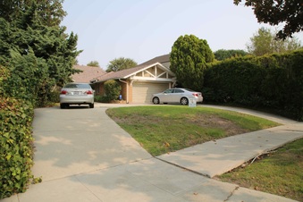 Enlarge photo 16