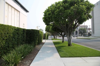 Enlarge photo 23