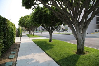Enlarge photo 25