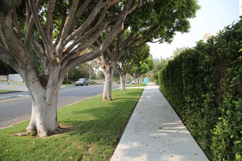 Enlarge photo 26