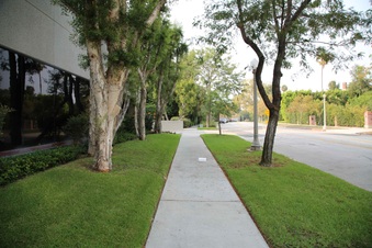 Enlarge photo 21