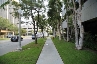 Enlarge photo 23