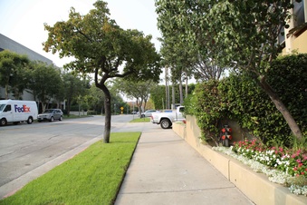 Enlarge photo 30