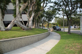 Enlarge photo 35