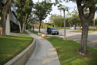 Enlarge photo 37