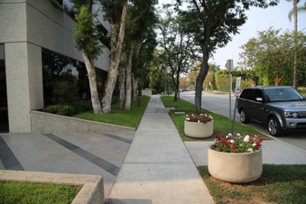 Enlarge photo 39