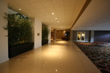 Enlarge photo 39