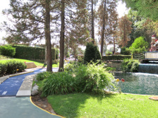 Enlarge photo 122