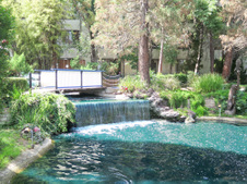Enlarge photo 121