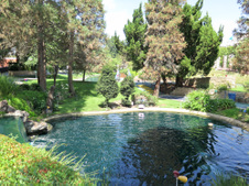 Enlarge photo 123
