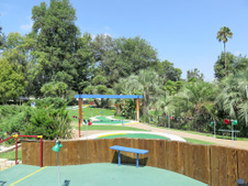 Enlarge photo 132
