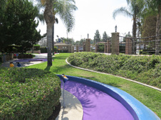 Enlarge photo 136