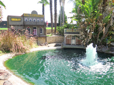 Enlarge photo 138
