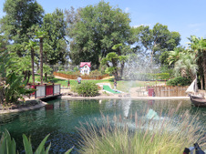 Enlarge photo 137