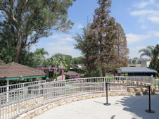 Enlarge photo 114