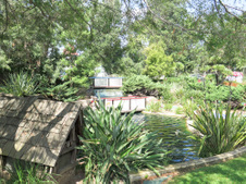 Enlarge photo 49