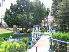 Enlarge photo 117