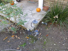 Enlarge photo 5