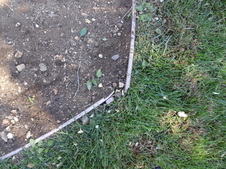 Enlarge photo 109