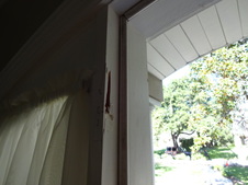 Enlarge photo 111