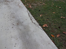 Enlarge photo 26