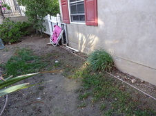 Enlarge photo 38