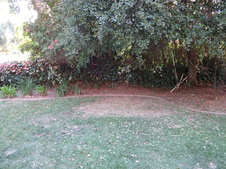 Enlarge photo 44