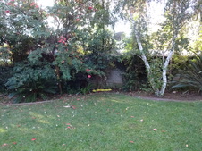 Enlarge photo 45