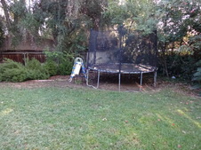 Enlarge photo 46