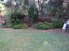 Enlarge photo 47