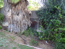 Enlarge photo 48