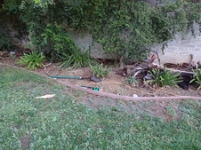 Enlarge photo 49