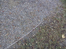 Enlarge photo 71