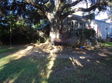 Enlarge photo 72