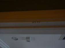 Enlarge photo 76