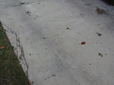 Enlarge photo 95