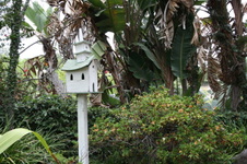 Enlarge photo 35