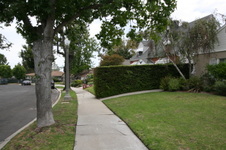 Enlarge photo 38