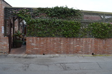 Enlarge photo 23