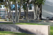 Enlarge photo 29