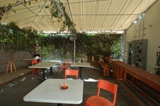 Enlarge photo 16