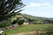 Enlarge photo 58