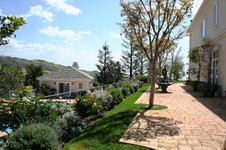 Enlarge photo 51