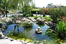 Enlarge photo 53