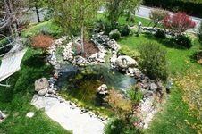 Enlarge photo 59