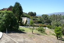 Enlarge photo 65